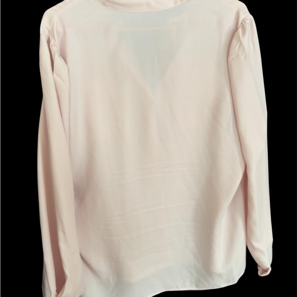 Express Light Pink Blouse with Gold Buttons - Picture 2 of 5